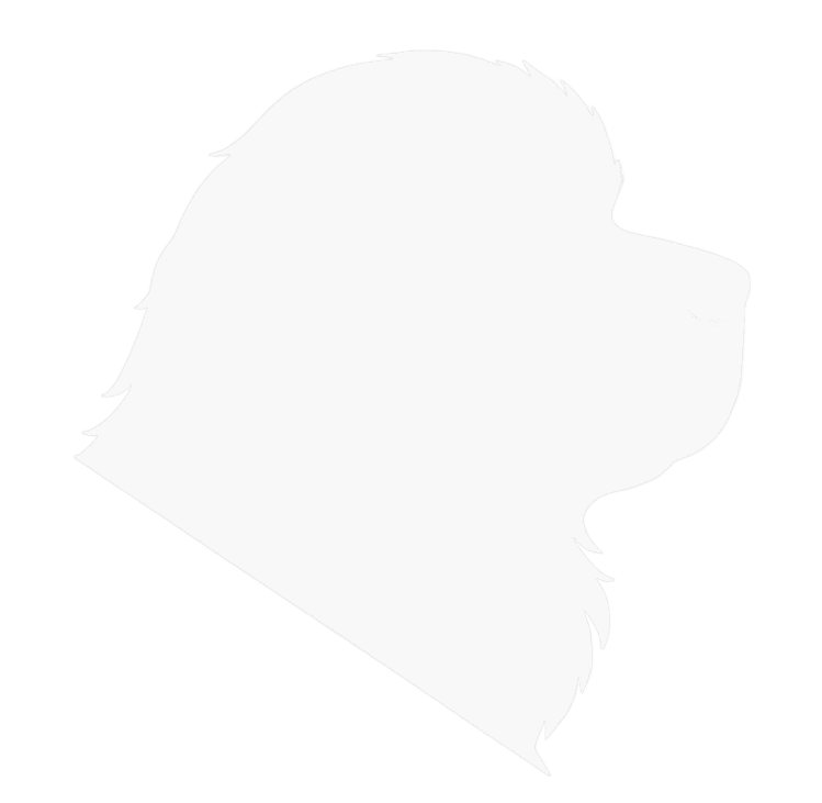 Logo de Will of the Emperor